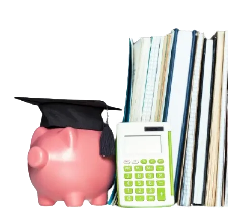 Vibrant FinancialEducation Hub 